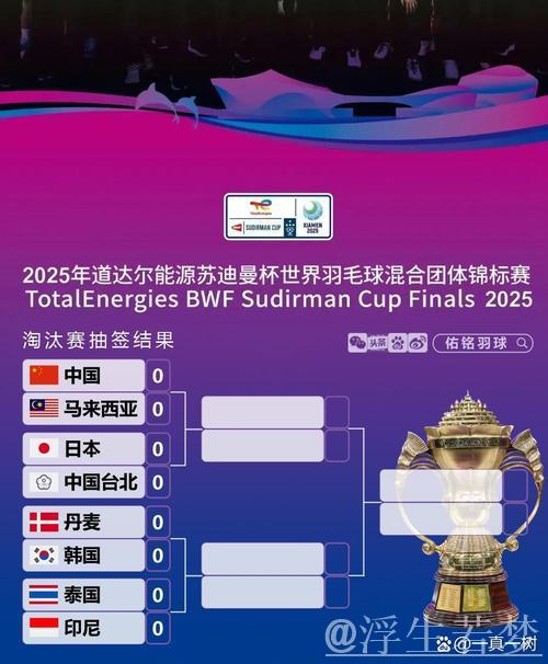 苏迪曼杯八强揭晓 中国队迎战马来西亚 苏迪曼杯八强揭晓 中国队迎战马来西亚