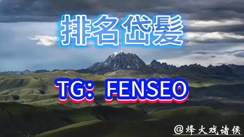 世界杯买球平台适合新手的选择